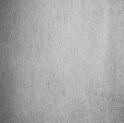 PA/PES enduit et dot fuse fleur dot 100% polyester non tissé pour vêtements