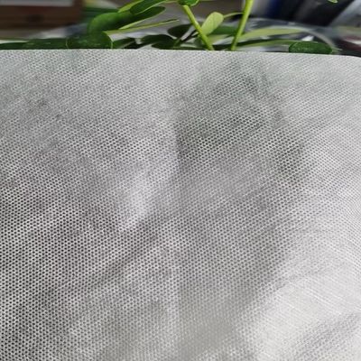 Résistance à la broderie Interlining Film PVA brodé de GAOXIN d'épaisseur différente
